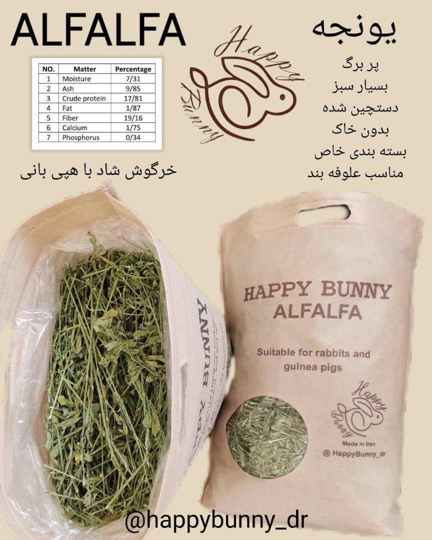 یونجهها