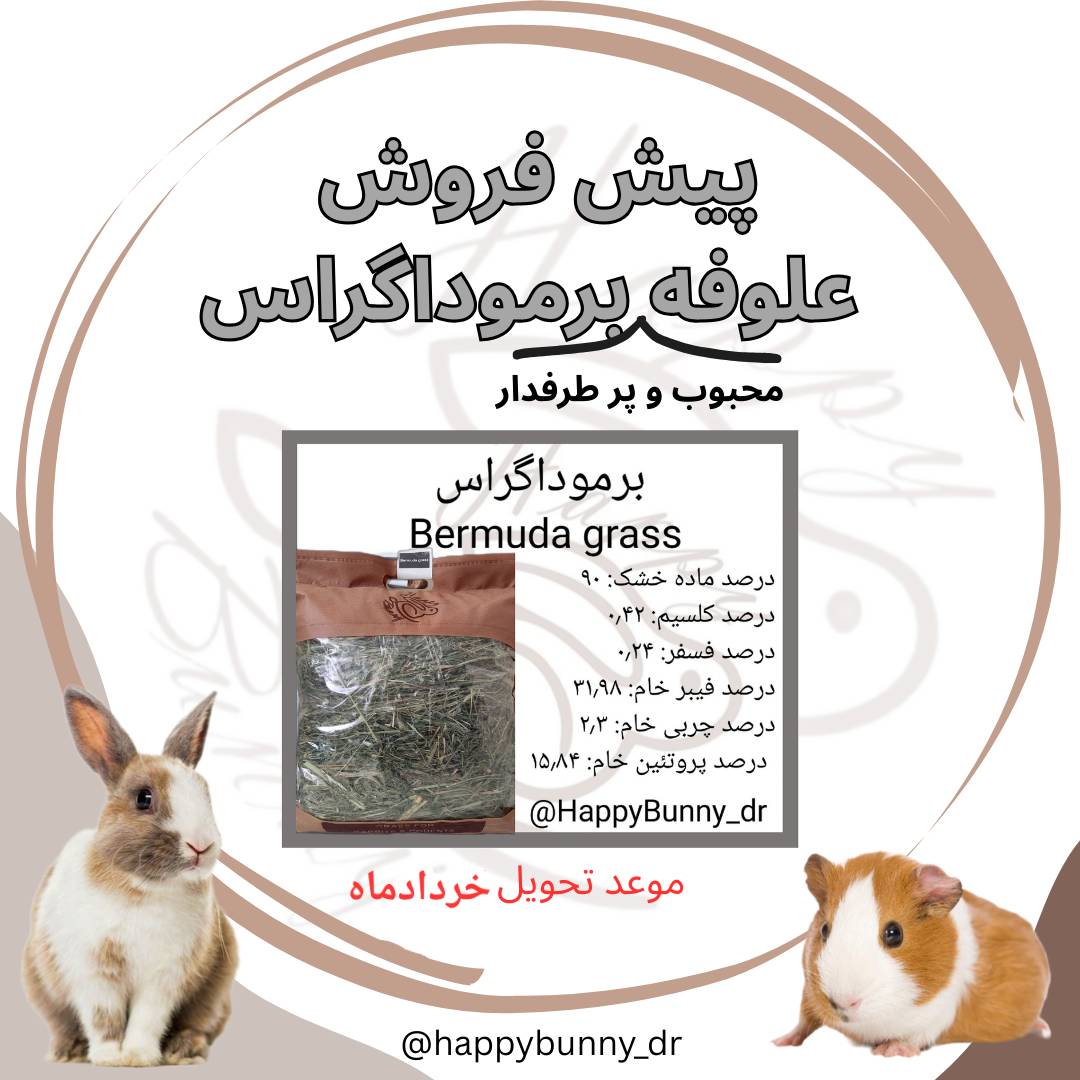 کیفیت خوب مهم ترین شاخصه ما