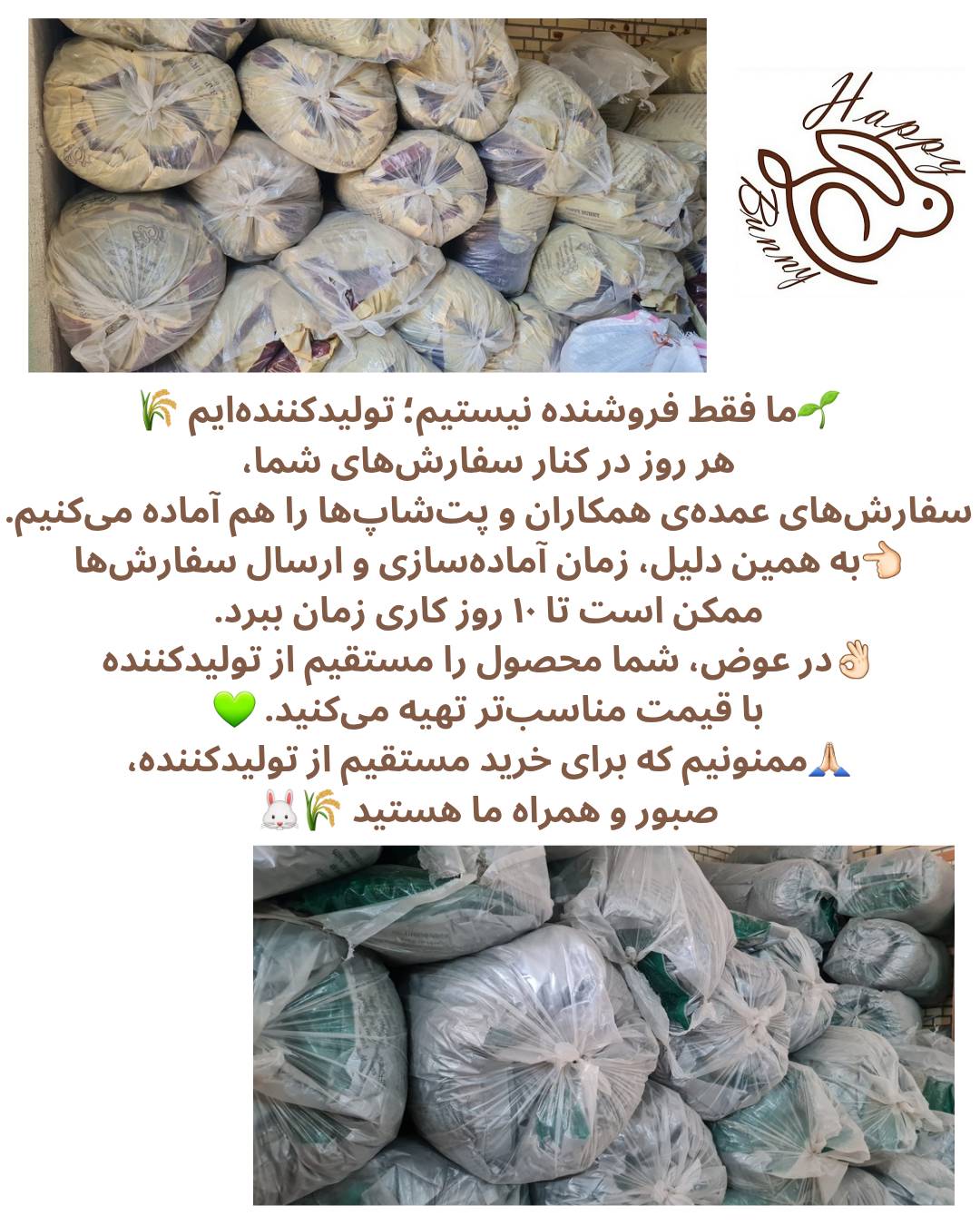 تولید، آماده سازی و عرضه محصول