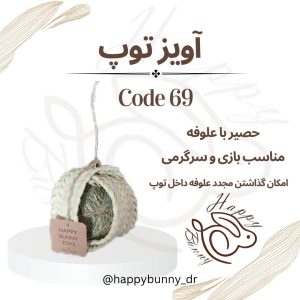 آویز توپ کد 69