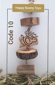 اسباب بازی کد 10