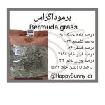 برموداگراس