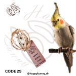 اسباب بازی پرنده کد 029