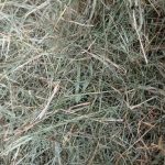 علوفه بسته ای درجه 2