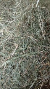 علوفه بسته ای درجه 2